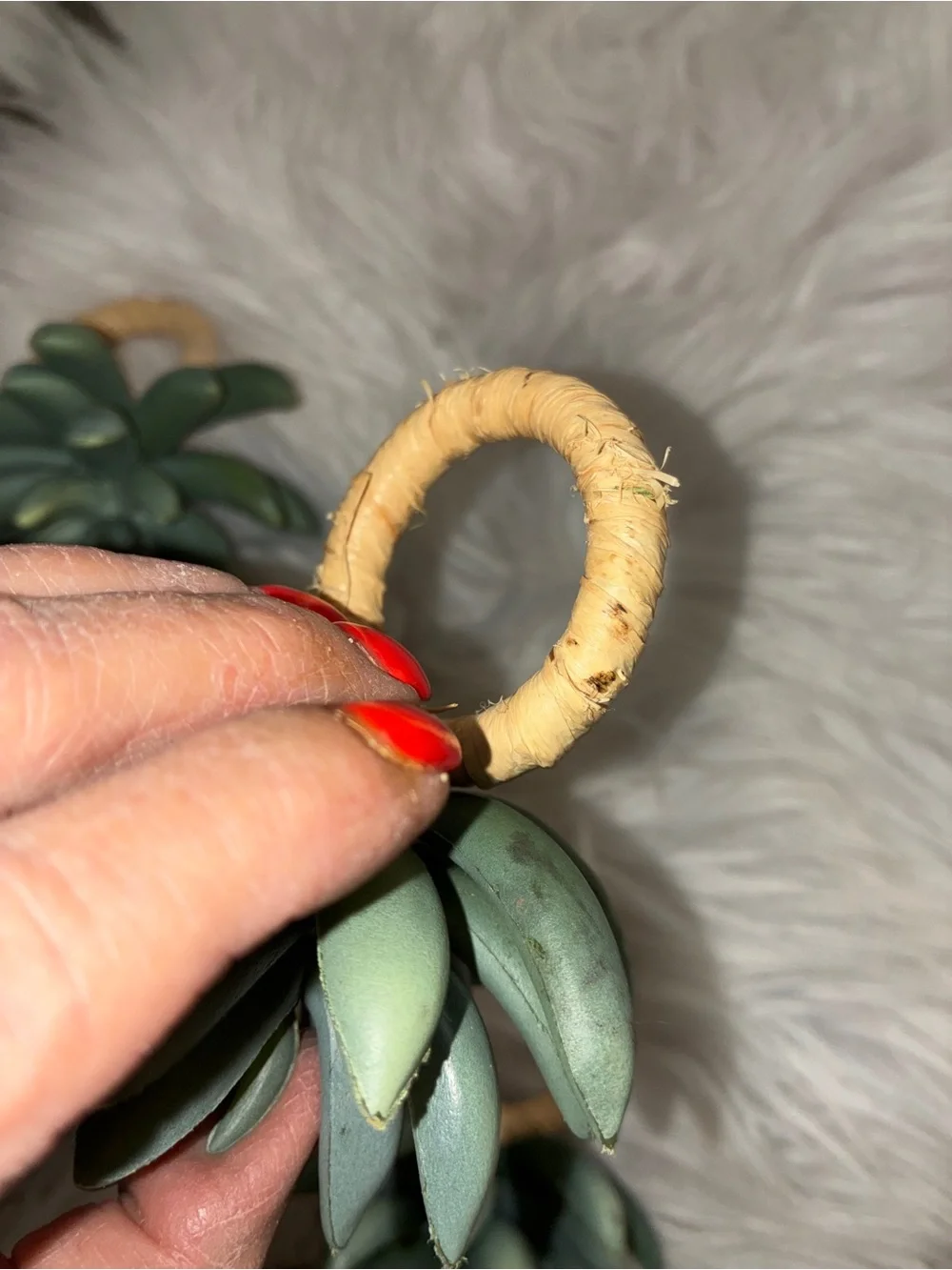 Pottery Barn Succulent green napkin rings set 8